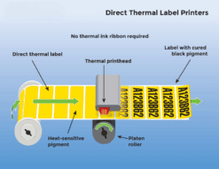 Direct Thermal Label Rolls DT